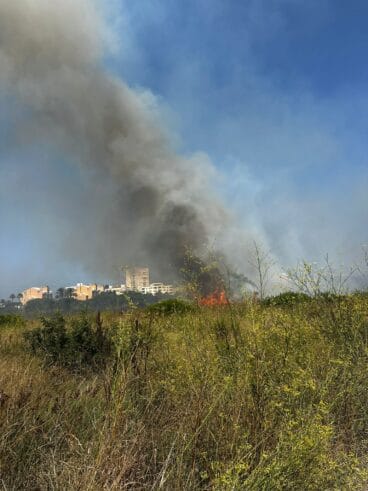 Incendio en una parcela del Saladar de Xàbia