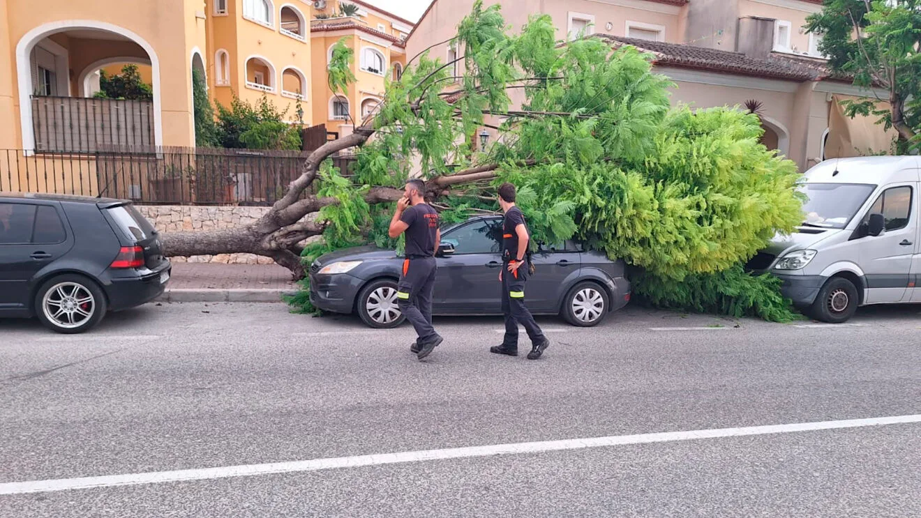 Protección Civil de Xàbia en el derrumbe del árbol sobre un coche