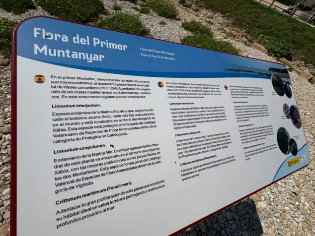 Imagen: Panel explicativo de la flora en el Primer Montañar de Xàbia
