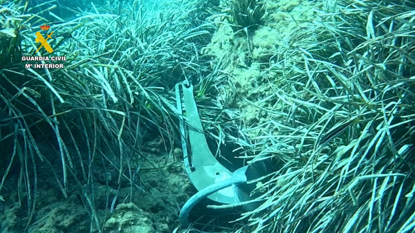Fondear en zonas de posidonia puede constituir infracciones graves sancionables con multas que oscilan entre 3.001 y 200.000 euros