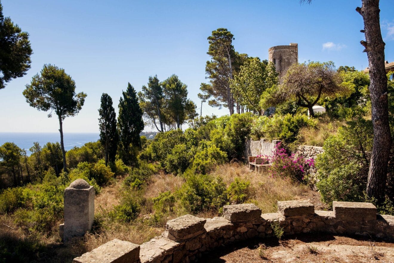 Parte superior de la torre del Portitxol dentro de la parcela privada