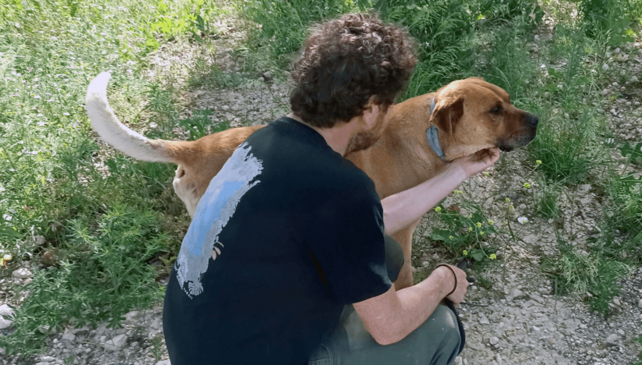 Seepoint Ópticas colabora con Valencia Perrera Dogs en apoyo a los perros abandonados de Hellín