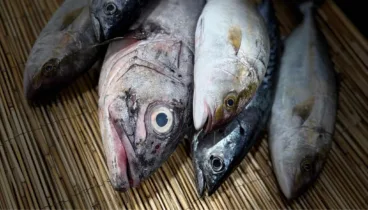 Fusión peruano japonesa elaborada con producto fresco