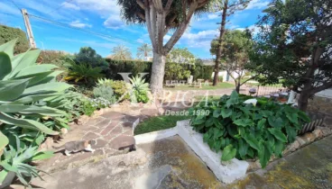 Jardín cuidado con árboles frutales y zonas verdes