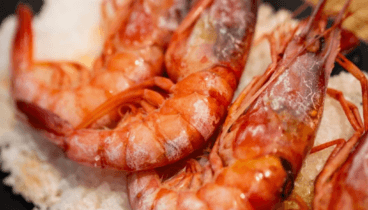 Vive el sabor del mediterráneo