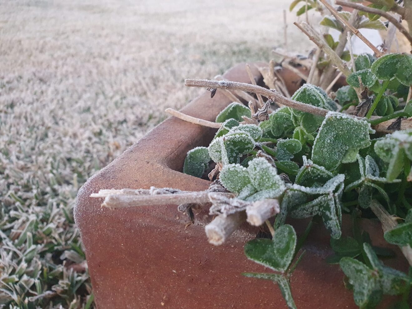 Baja temperatuta en Xàbia