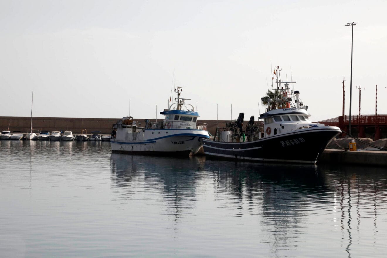 Barcos de pesca en el puerto de Xàbia