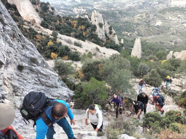 Imagen: Actividades del CEX