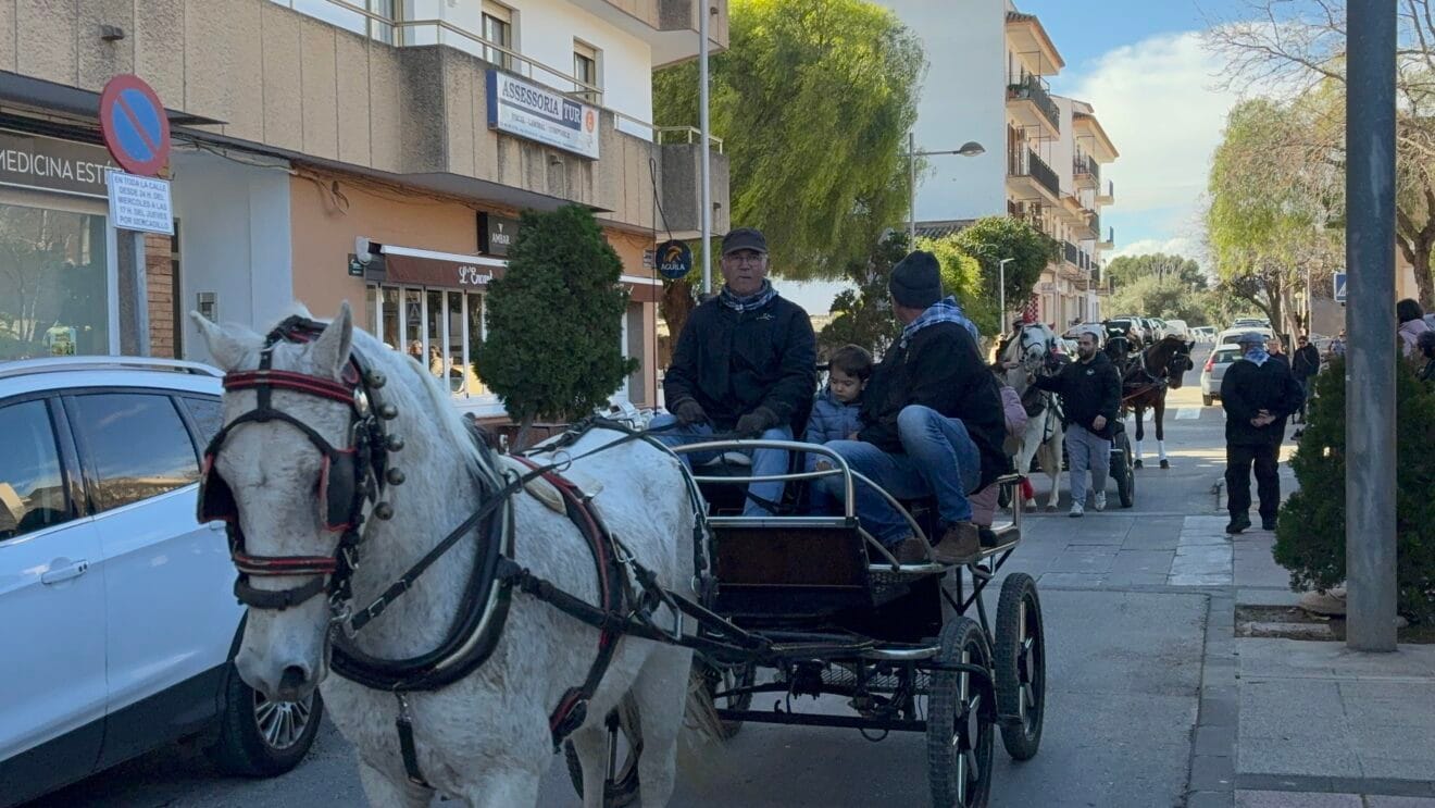 Bendición de animales en el centro histórico de Xàbia (11)