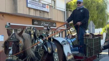 Bendición de animales en el centro histórico de Xàbia (18)