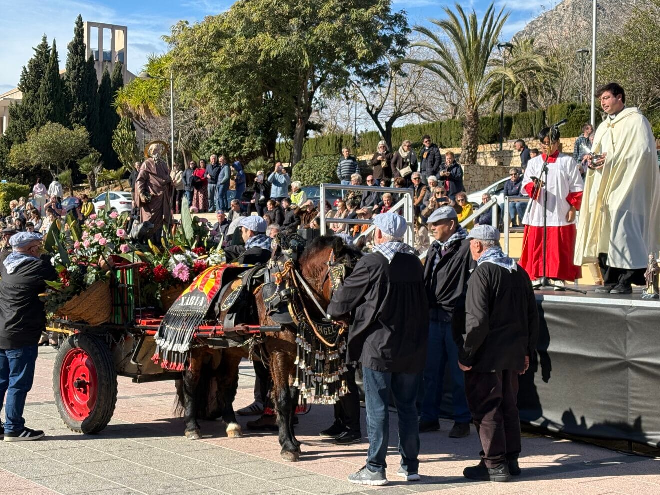 Bendición de animales en el centro histórico de Xàbia (24)