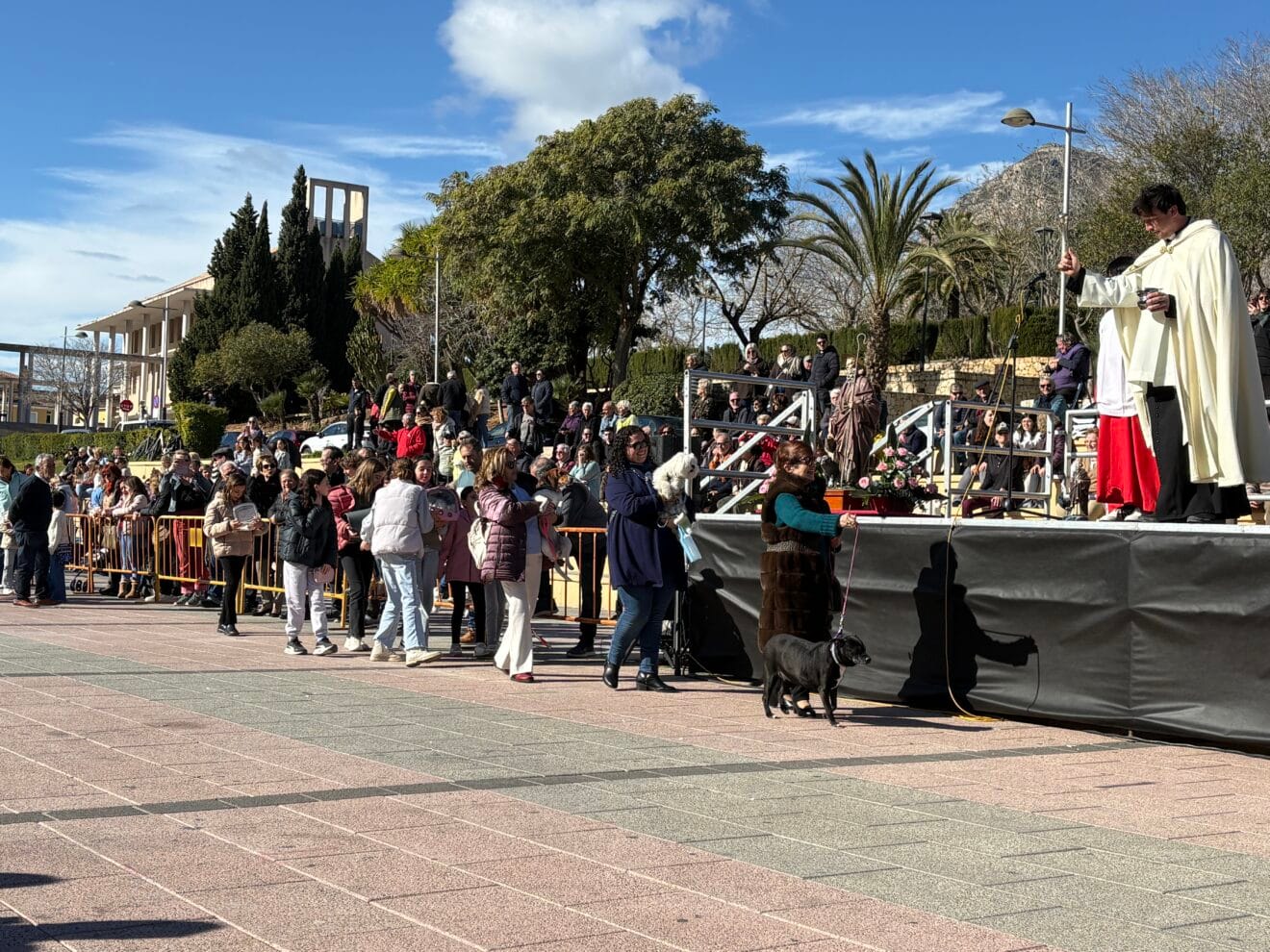 Bendición de animales en el centro histórico de Xàbia (26)