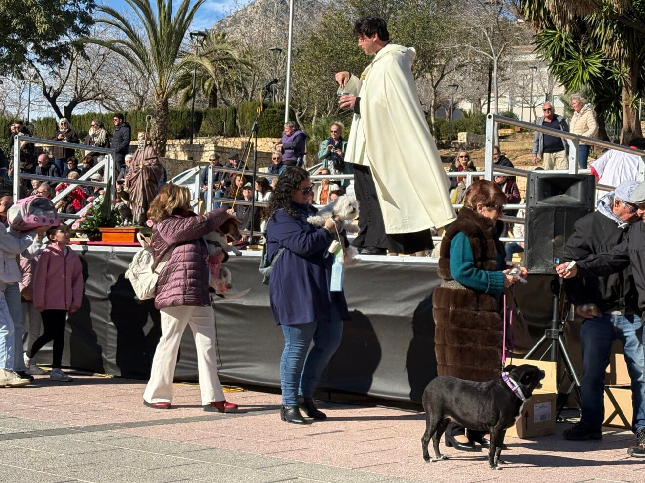 Bendición de animales en el centro histórico de Xàbia (27)