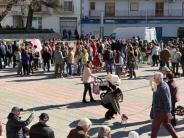 Bendición de animales en el centro histórico de Xàbia (3)