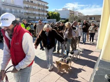 Bendición de animales en el centro histórico de Xàbia (30)