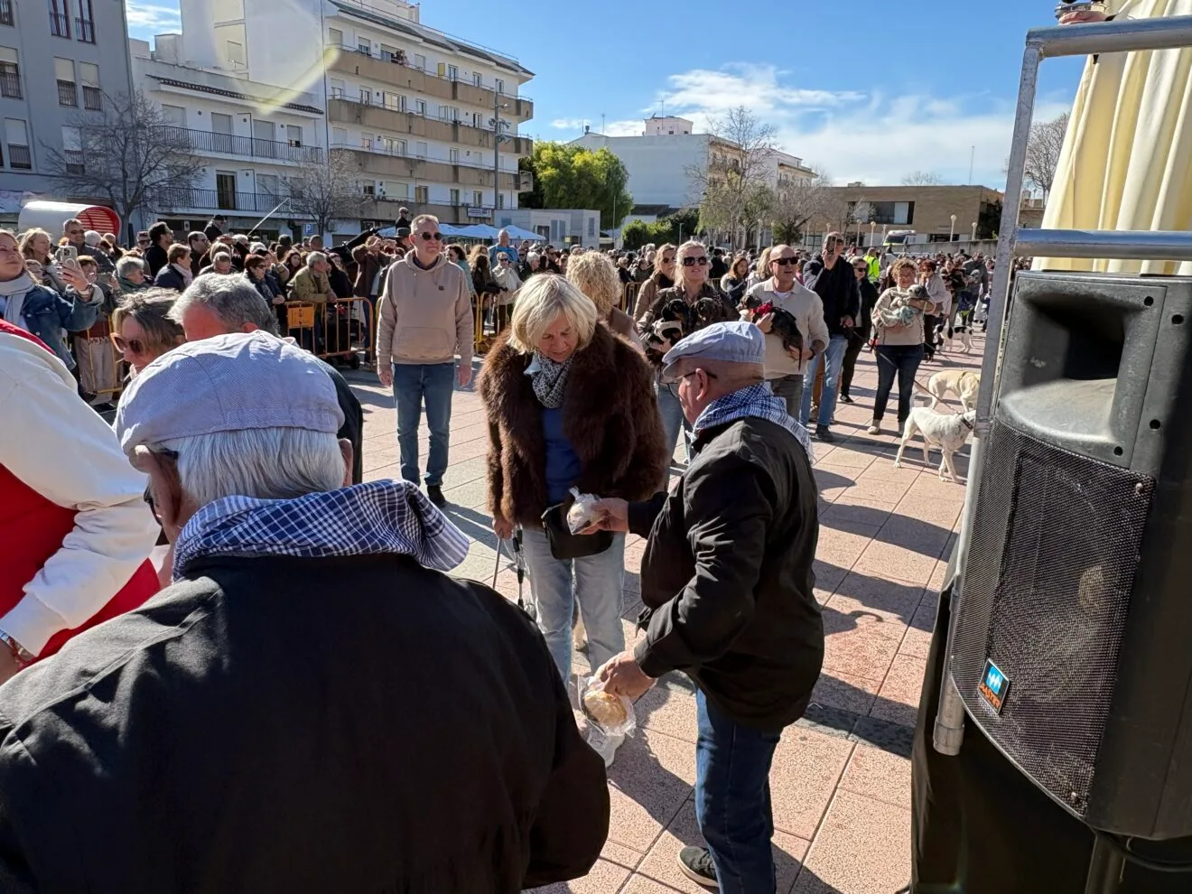 Bendición de animales en el centro histórico de Xàbia (31)