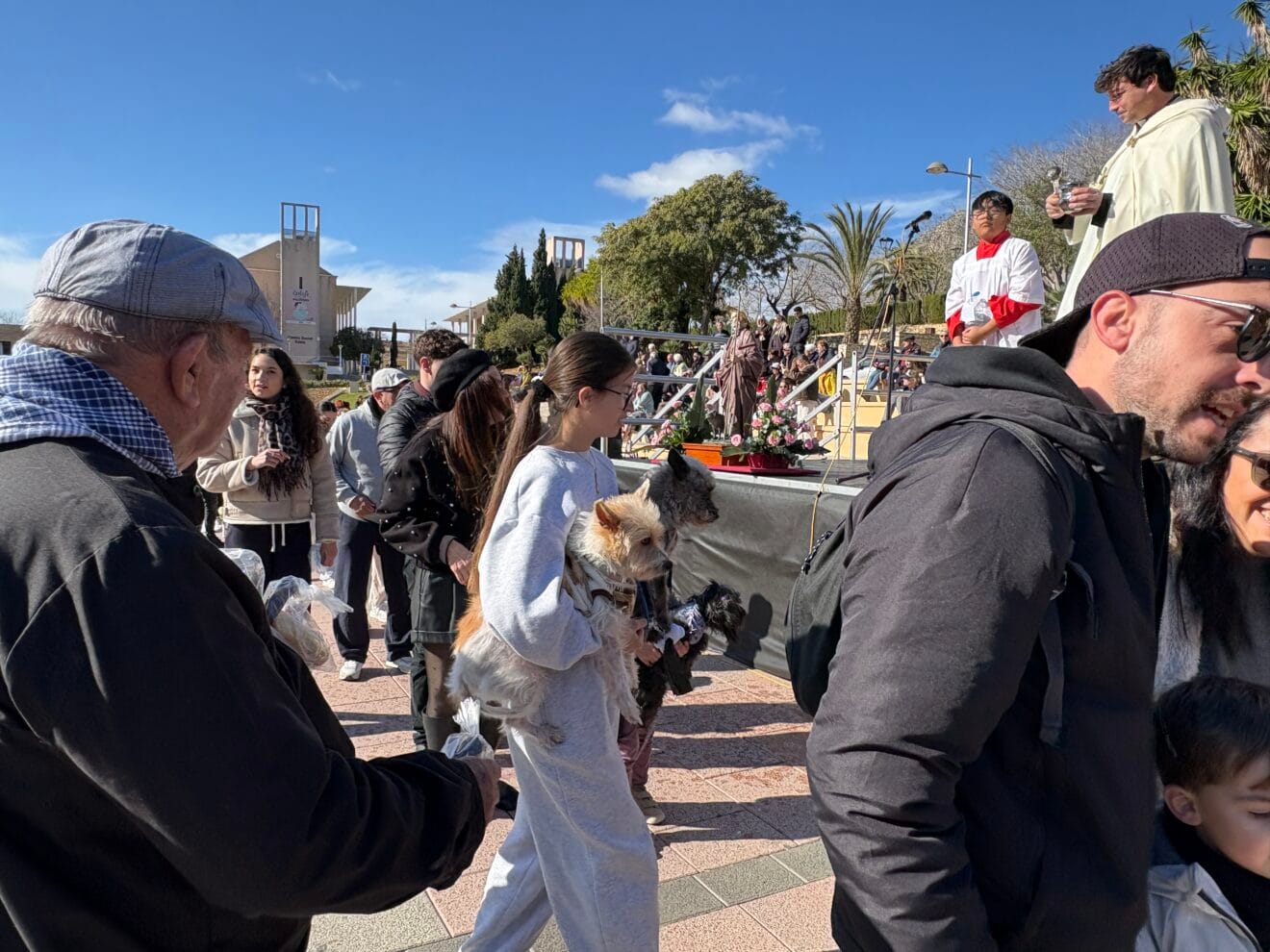 Bendición de animales en el centro histórico de Xàbia (42)