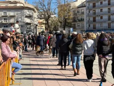 Bendición de animales en el centro histórico de Xàbia (47)