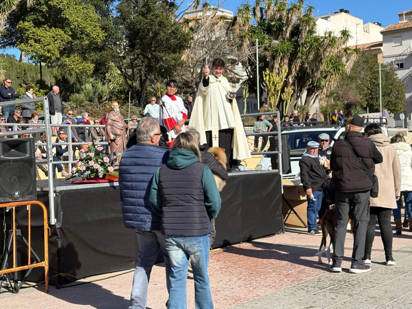 Bendición de animales en el centro histórico de Xàbia (50)