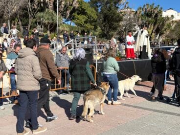 Bendición de animales en el centro histórico de Xàbia (52)