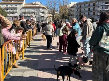 Bendición de animales en el centro histórico de Xàbia (56)