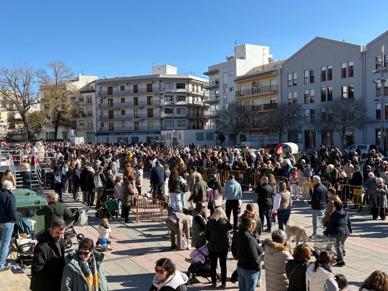 Bendición de animales en el centro histórico de Xàbia (57)
