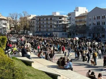 Bendición de animales en el centro histórico de Xàbia (58)