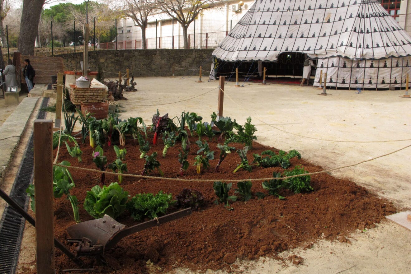 Campamento real Xàbia 2026 (10)