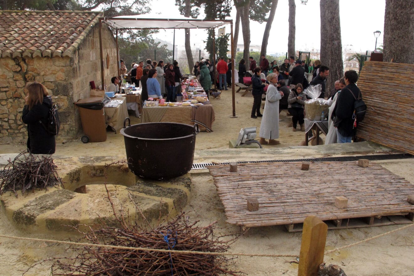 Campamento real Xàbia 2026