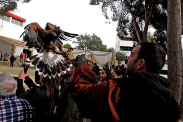 Campamento real Xàbia 2026 (19)