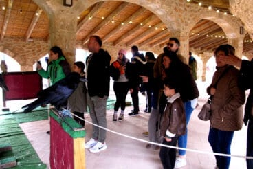 Campamento real Xàbia 2026 (33)