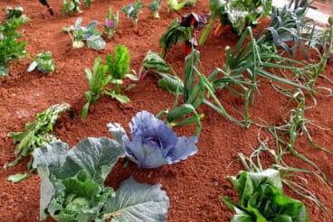 Campamento real Xàbia 2026 (41)