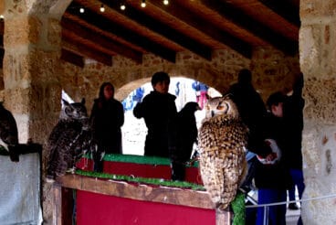 Campamento real Xàbia 2026 (51)