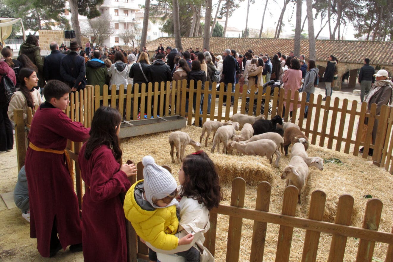 Campamento real Xàbia 2026 (6)