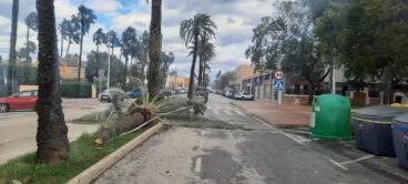 Incidentes a causa del fuerte viento en Xàbia