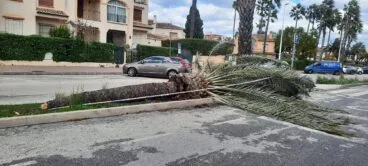 Incidentes a causa del fuerte viento en Xàbia (2)