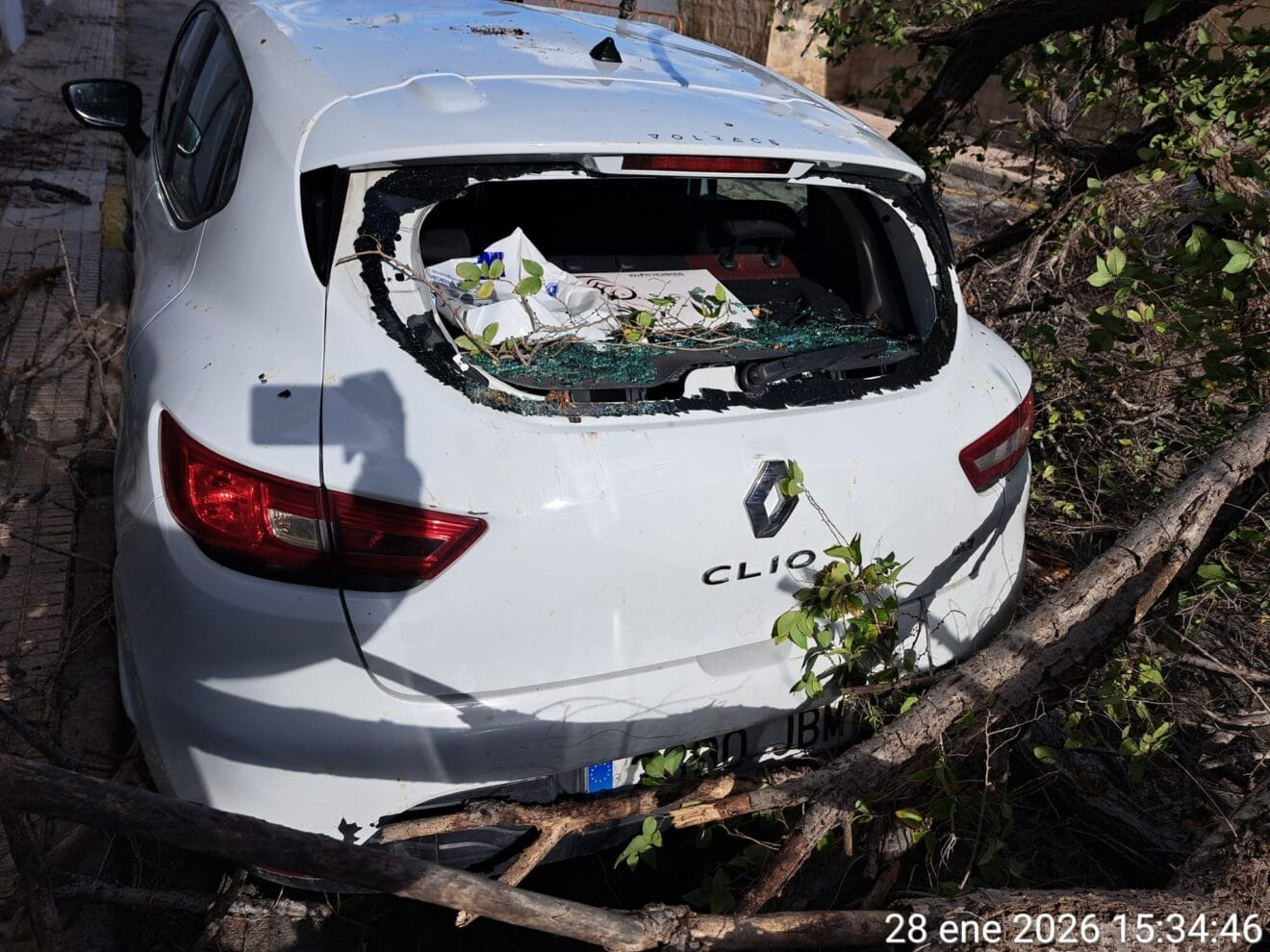 Vehículo afectado ante la caída de un árbol por el fuerte viento