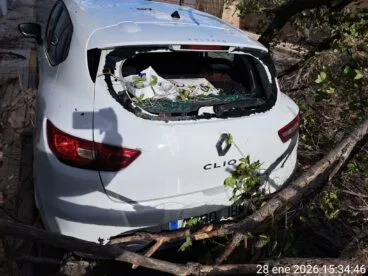 Vehículo afectado ante la caída de un árbol por el fuerte viento