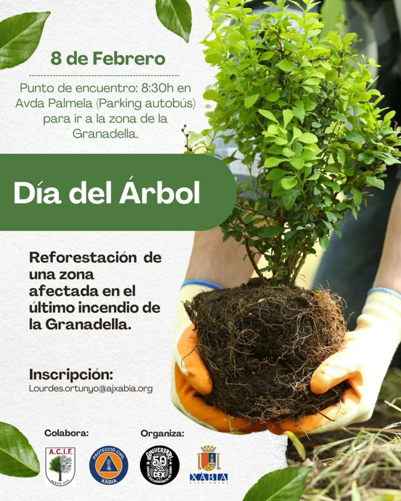 Jornada de reforestación en la Granadella por el Día del Árbol para recuperar una zona afectada por el último incendio