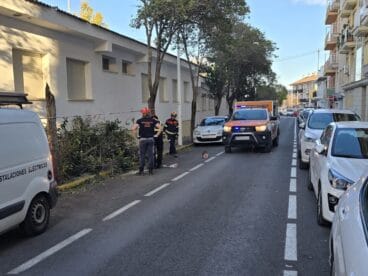 Protección Civil trabaja en la retirada de árboles caídos