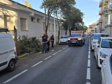 Protección Civil trabaja en la retirada de árboles caídos