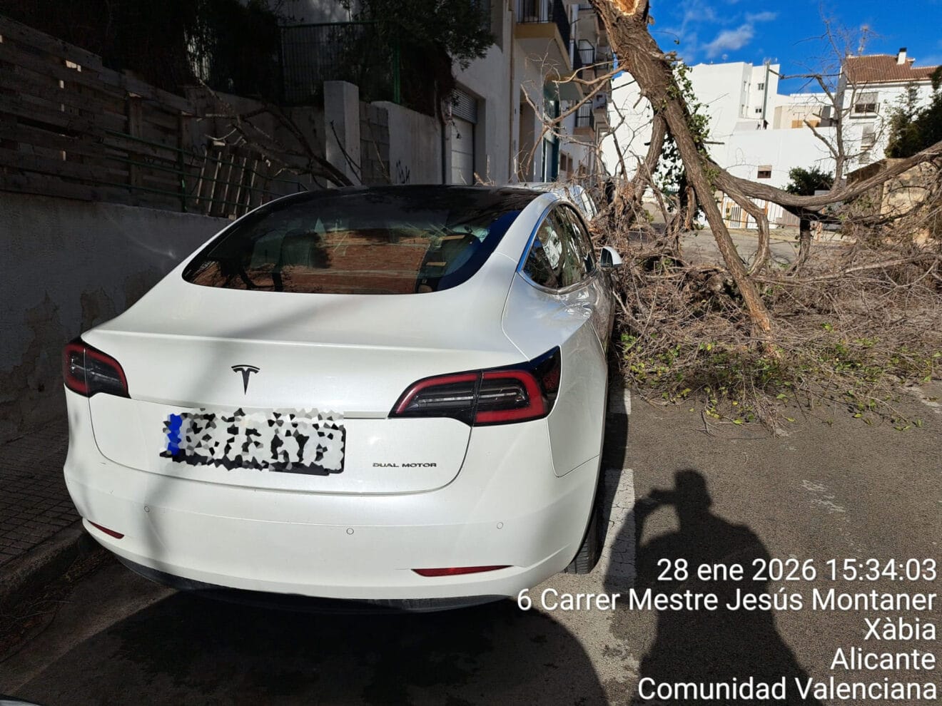 Rama caída a causa del fuerte viento en Xàbia