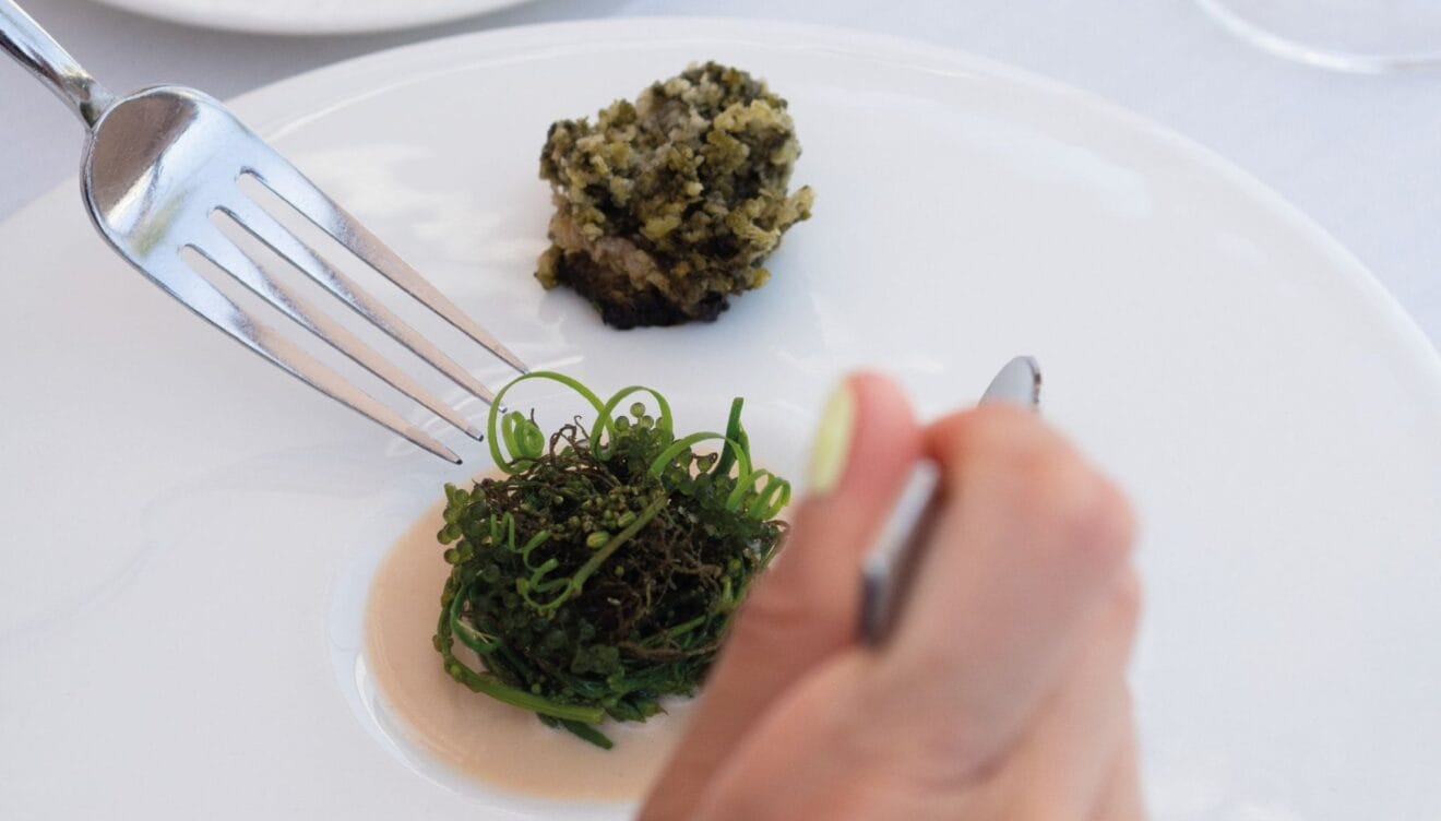 Tradición y territorio en cada creación culinaria