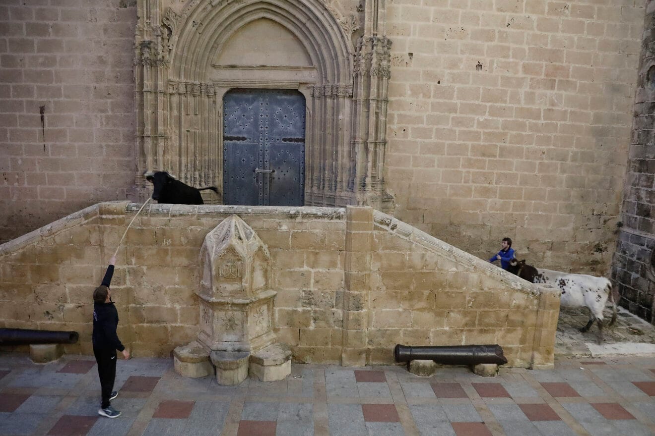 Vecinos y visitantes se dieron cita en las plazas de Xàbia en la única jornada de bous al carrer celebrada durante las fiestas de Sant Sebastià (12)