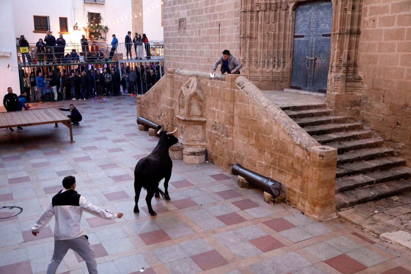 Vecinos y visitantes se dieron cita en las plazas de Xàbia en la única jornada de bous al carrer celebrada durante las fiestas de Sant Sebastià (5)