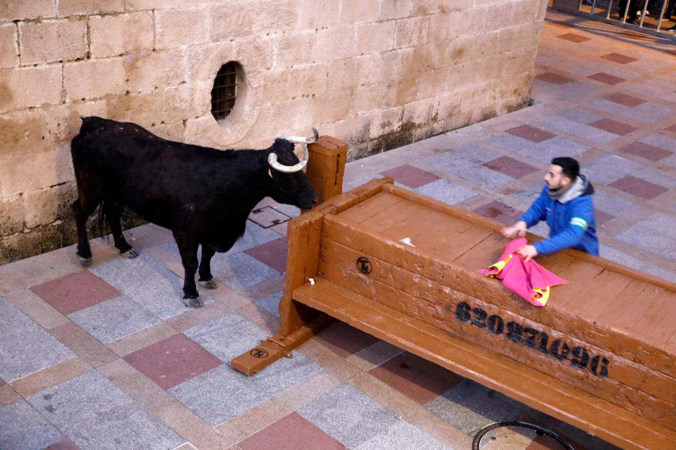 Vecinos y visitantes se dieron cita en las plazas de Xàbia en la única jornada de bous al carrer celebrada durante las fiestas de Sant Sebastià (6)