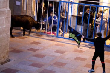 Vecinos y visitantes se dieron cita en las plazas de Xàbia en la única jornada de bous al carrer celebrada durante las fiestas de Sant Sebastià (7)