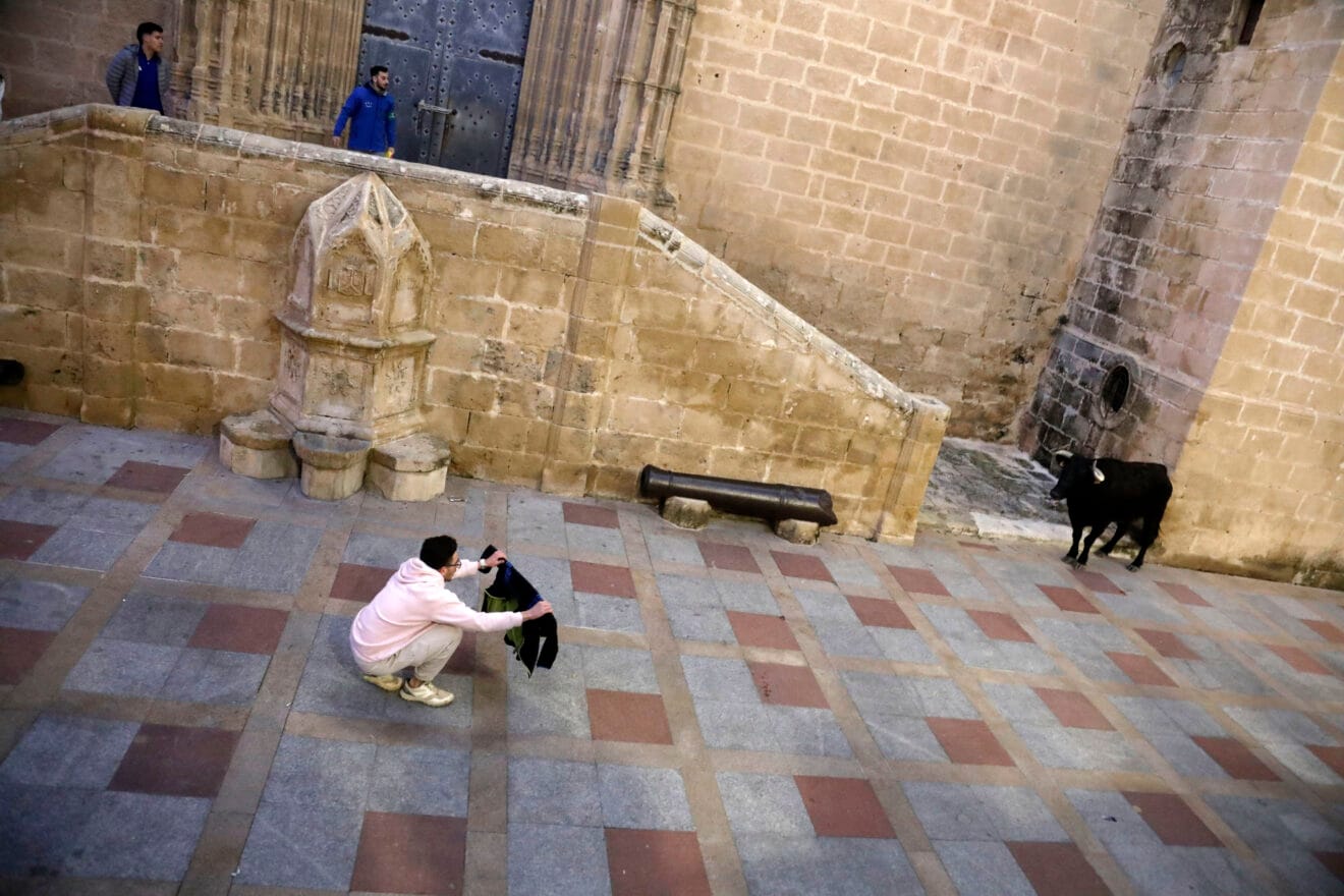 Vecinos y visitantes se dieron cita en las plazas de Xàbia en la única jornada de bous al carrer celebrada durante las fiestas de Sant Sebastià (9)