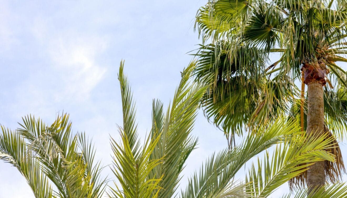 Vivienda con exteriores ideales para aprovechar el buen tiempo en Jávea