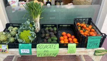 Alimentación saludable con productos de la tierra